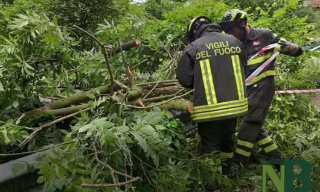 Maltempo nel Biellese, evacuate 71 persone a Bielmonte per rischio valanghe